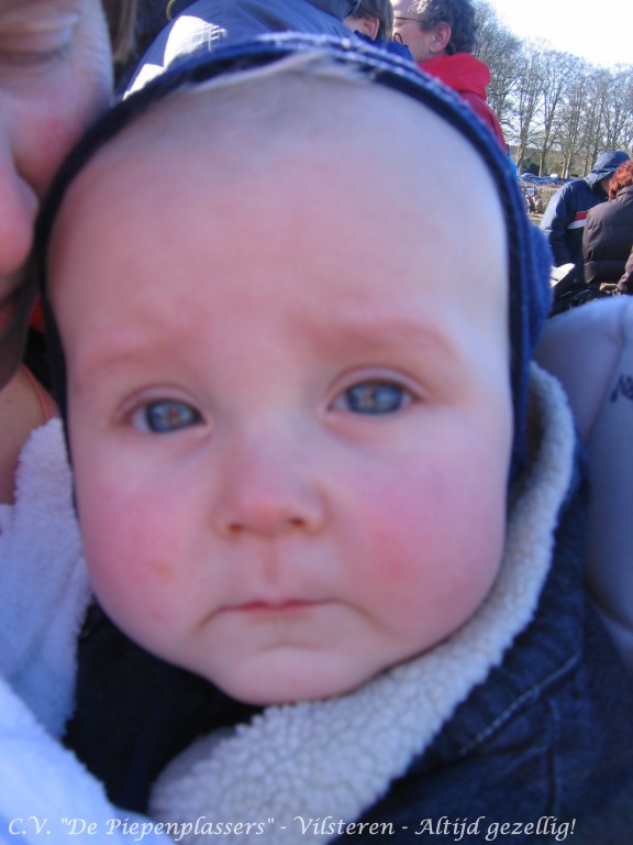 IMGC 343 Piepenplassite